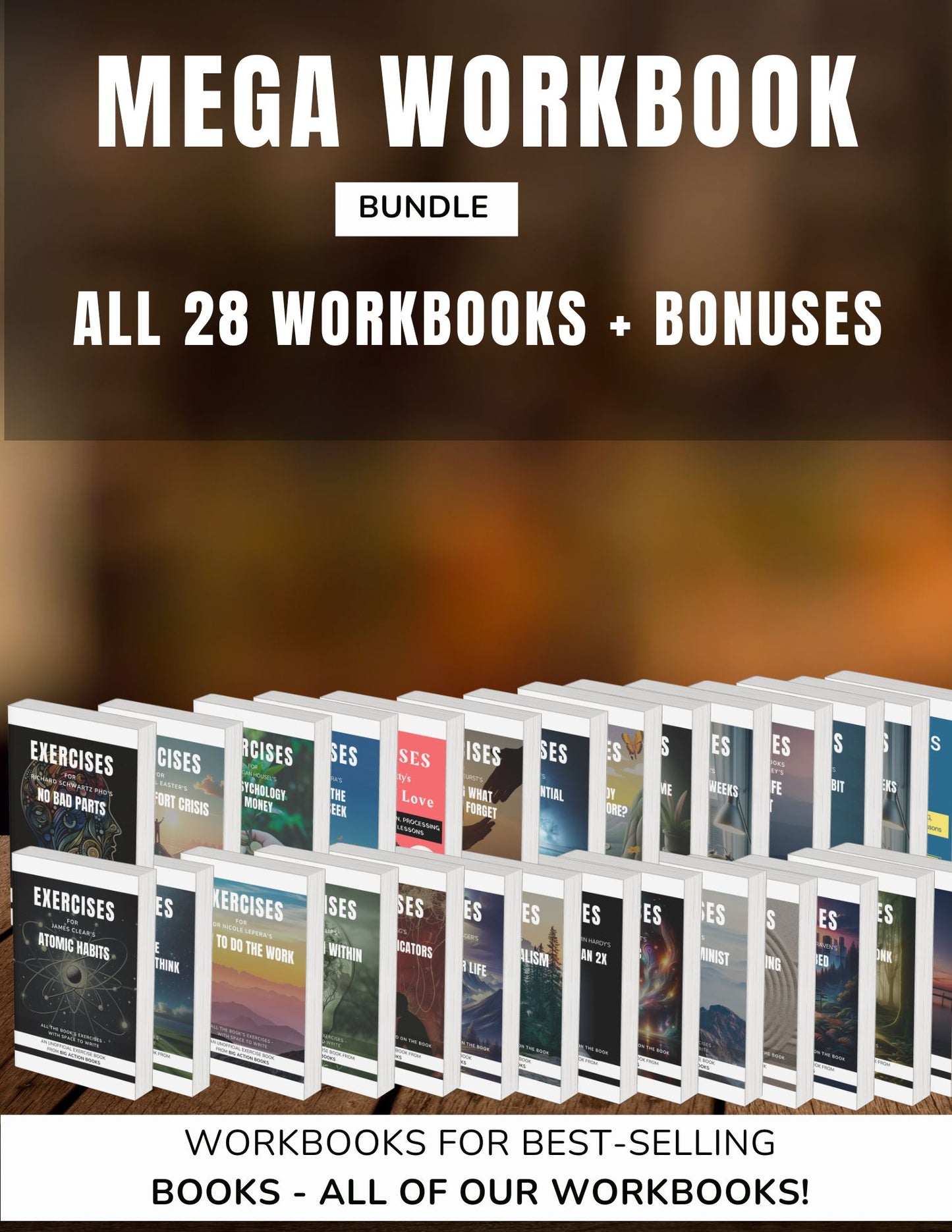 Mega-Bundle: All 30 Workbooks